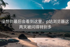 没想到最后会看到这里，p站浏览器这两天被问得特别多
