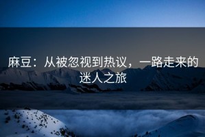 麻豆：从被忽视到热议，一路走来的迷人之旅