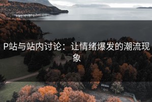 P站与站内讨论：让情绪爆发的潮流现象