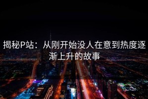 揭秘P站：从刚开始没人在意到热度逐渐上升的故事