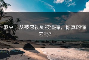 麻豆：从被忽视到被追捧，你真的懂它吗？