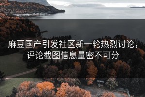 麻豆国产引发社区新一轮热烈讨论，评论截图信息量密不可分