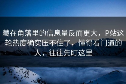 藏在角落里的信息量反而更大，P站这轮热度确实压不住了，懂得看门道的人，往往先盯这里