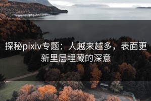 探秘pixiv专题：人越来越多，表面更新里层埋藏的深意