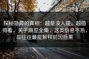 探秘隐藏的真相：越是没人提，越值得看，关于麻豆全集，这类信息不热，却往往最能解释前因后果