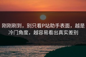 刚刚刷到，别只看P站助手表面，越是冷门角度，越容易看出真实差别