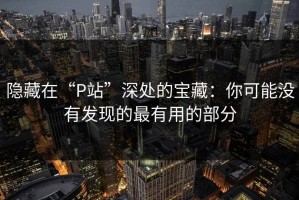 隐藏在“P站”深处的宝藏：你可能没有发现的最有用的部分