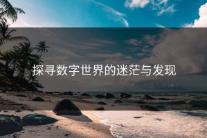 探寻数字世界的迷茫与发现