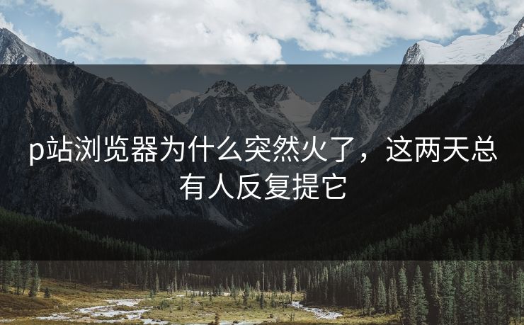 p站浏览器为什么突然火了,这两天总有人反复提它 p站浏览器为什么突然火了,这两天总有人反复提它