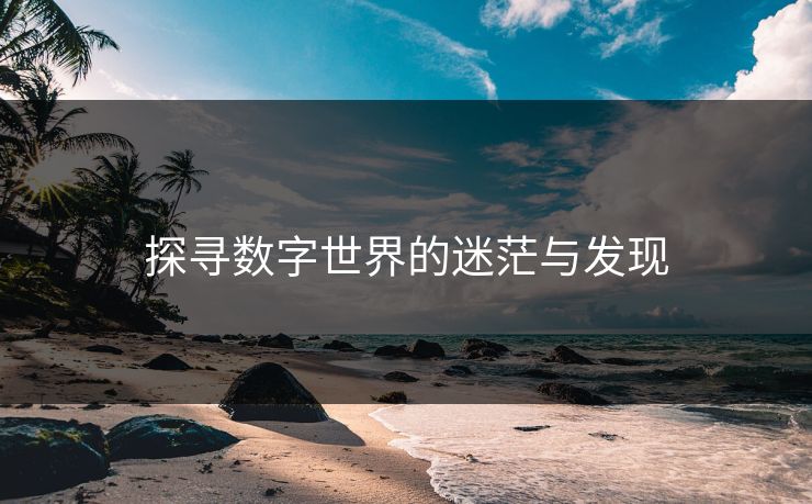 探寻数字世界的迷茫与发现