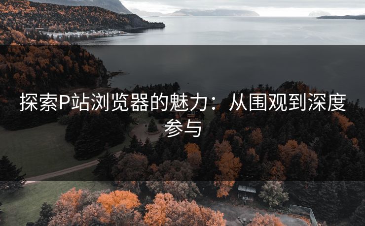 探索P站浏览器的魅力：从围观到深度参与
