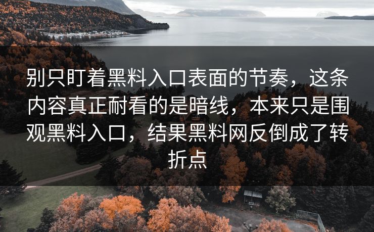 别只盯着黑料入口表面的节奏，这条内容真正耐看的是暗线，本来只是围观黑料入口，结果黑料网反倒成了转折点