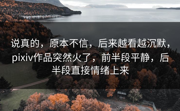 说真的，原本不信，后来越看越沉默，pixiv作品突然火了，前半段平静，后半段直接情绪上来