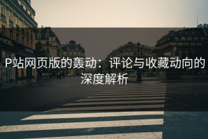 P站网页版的轰动：评论与收藏动向的深度解析