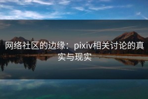 网络社区的边缘：pixiv相关讨论的真实与现实