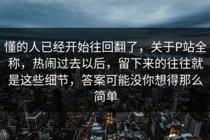 懂的人已经开始往回翻了，关于P站全称，热闹过去以后，留下来的往往就是这些细节，答案可能没你想得那么简单