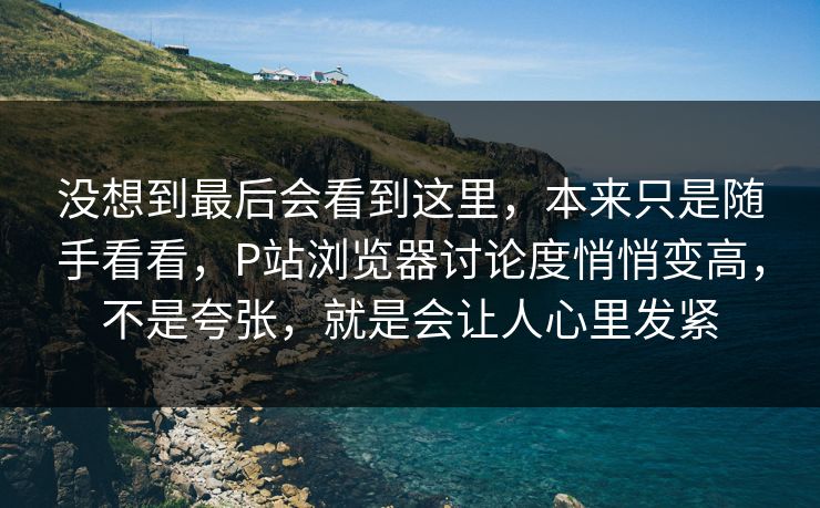 没想到最后会看到这里，本来只是随手看看，P站浏览器讨论度悄悄变高，不是夸张，就是会让人心里发紧